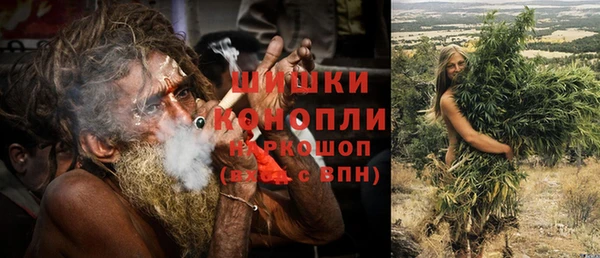 сатива Сосновка