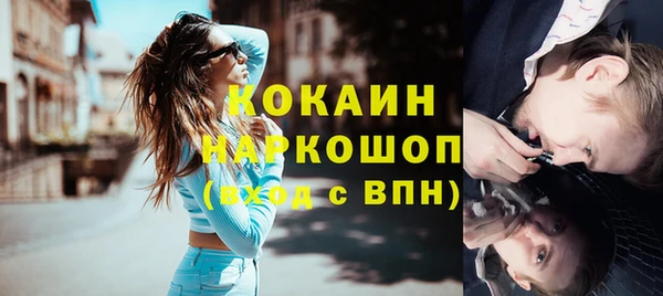 сатива Сосновка