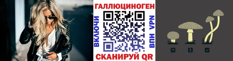 Псилоцибиновые грибы прущие грибы  Купить где  Электрогорск 